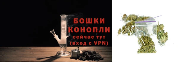 ГАЛЛЮЦИНОГЕННЫЕ ГРИБЫ Липки