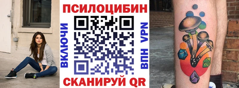 Галлюциногенные грибы Psilocybe  OMG ССЫЛКА  Новая Усмань  наркота 
